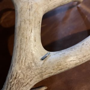 Trophy Microchip